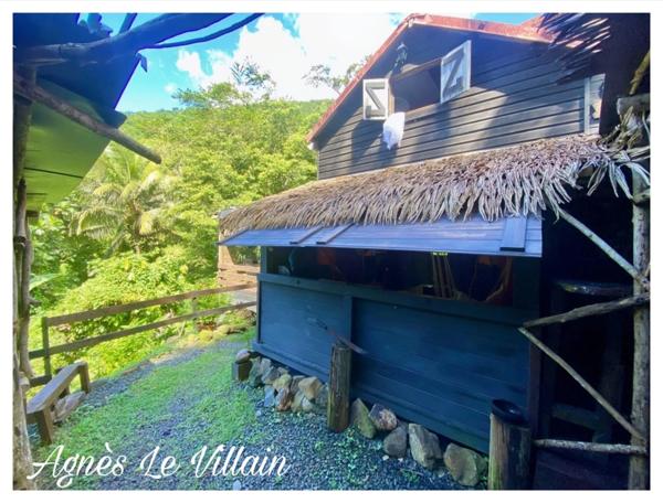 Maison en bois + bungalow autonomes en pleine forêt