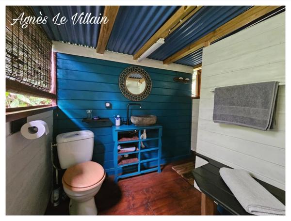 Maison en bois + bungalow autonomes en pleine forêt