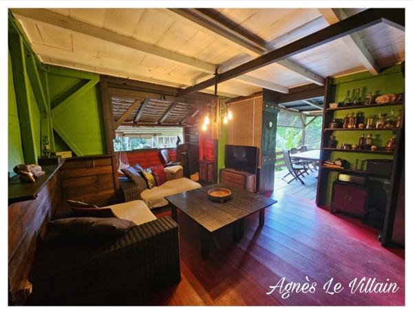 Maison en bois + bungalow autonomes en pleine forêt