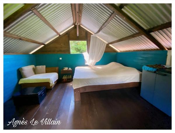 Maison en bois + bungalow autonomes en pleine forêt