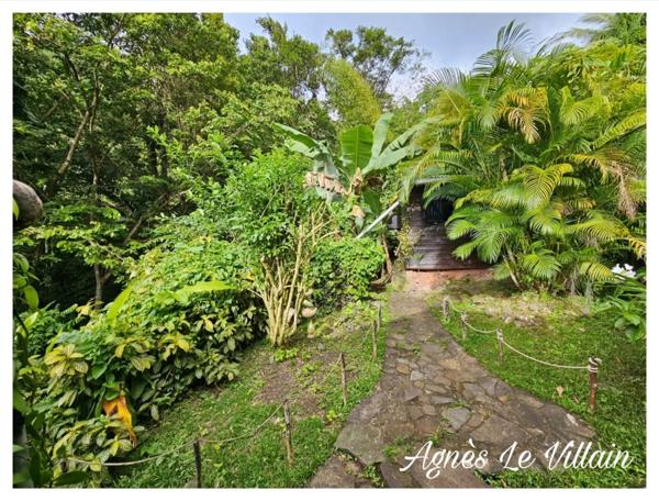 Maison en bois + bungalow autonomes en pleine forêt