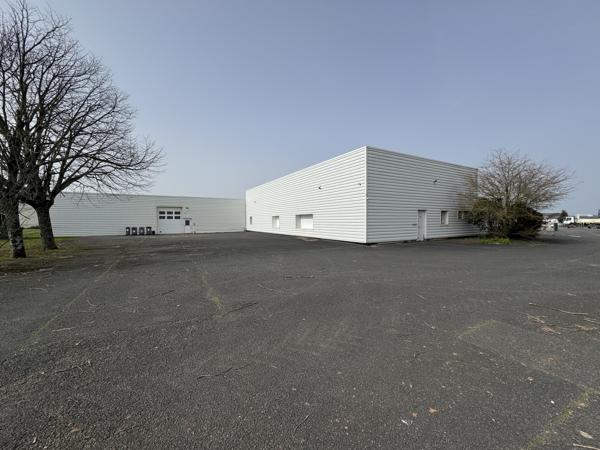 Murs commerciaux
                                                                                                                                                                                                                                                                                                                                                                                                                                            1150  m²