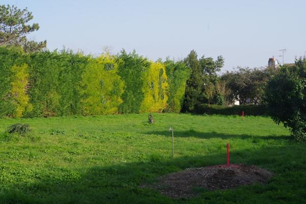 Dompierre-sur-Mer (17139) Terrain à batir de 473 m2 environ