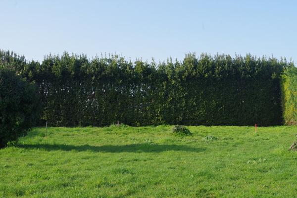 Dompierre-sur-Mer (17139) Terrain à batir de 473 m2 environ