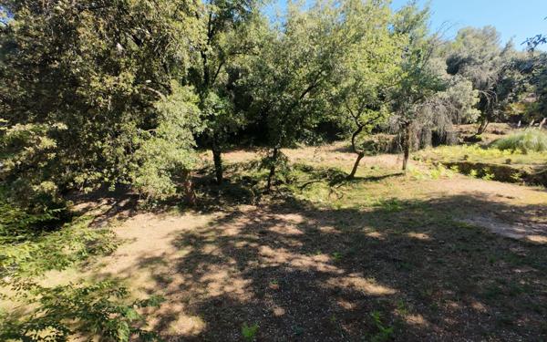 Terrain à vendre    Roquefort-les-Pins