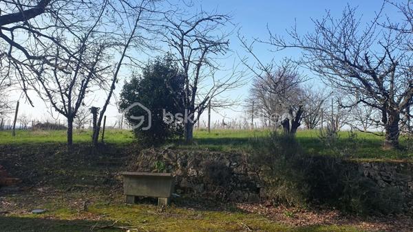 Maison contemporaine de 128 m²