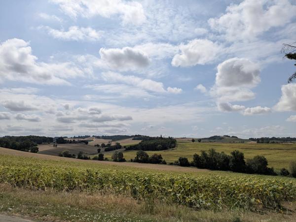 Ancienne ferme de caractère avec vue dégagée, à proximité de Beaumont-de-Lomagne