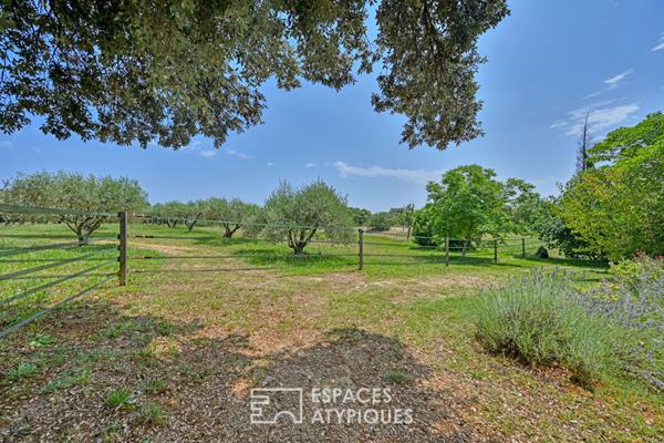 Mas de Caractère rénové sur domaine privé de 3,9 hectares