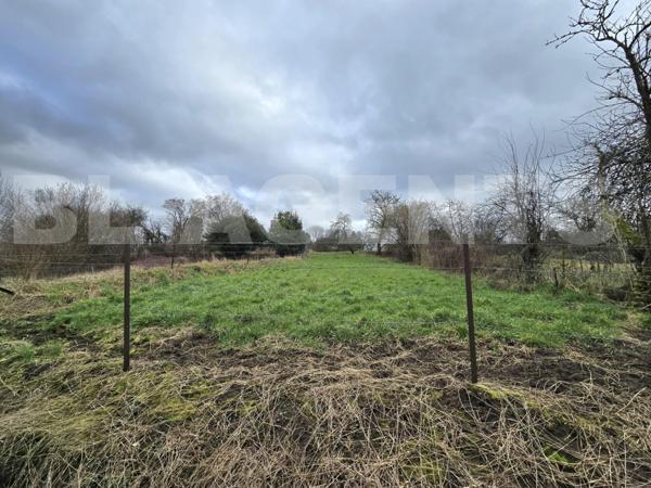 maison/villa 9 pièce(s) 262 m2