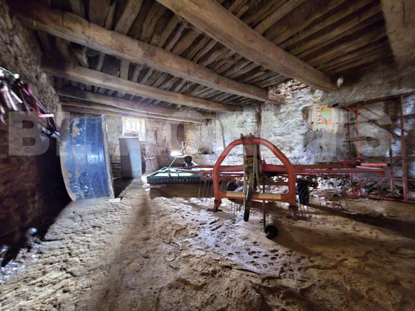 maison/villa 9 pièce(s) 262 m2