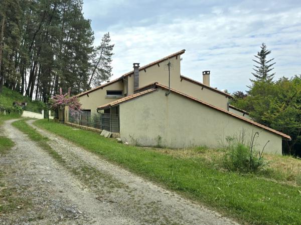 Maison d'architecte avec piscine et deux studios loués