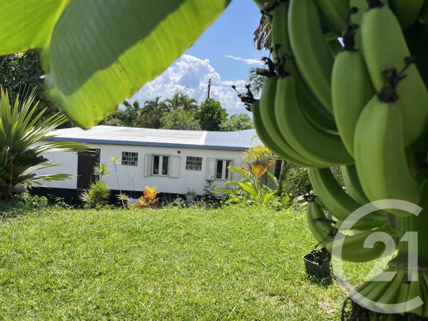 Maison à vendre  5 pièces - 148 m2 STE SUZANNE - 974