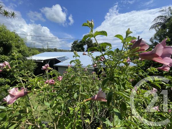 Maison à vendre  5 pièces - 148 m2 STE SUZANNE - 974