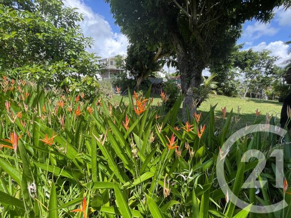 Maison à vendre  5 pièces - 148 m2 STE SUZANNE - 974