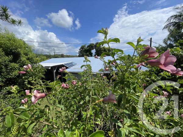 Maison à vendre  5 pièces - 148 m2 STE SUZANNE - 974