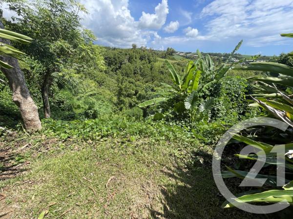 Maison à vendre  5 pièces - 148 m2 STE SUZANNE - 974