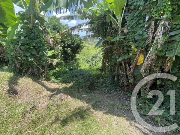 Maison à vendre  5 pièces - 148 m2 STE SUZANNE - 974