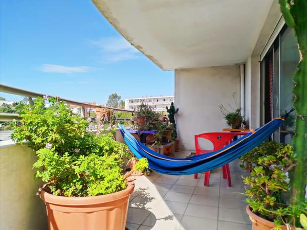 Location Appartement 3 pièces 70 m2 à Montpellier