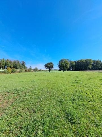 Terrain agricole à vendre à Naucelle dans l'Aveyron (12800), ref : 1009287 Aveyron