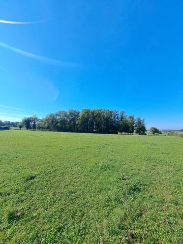 Terrain agricole à vendre à Naucelle dans l'Aveyron (12800), ref : 1009287 Aveyron
