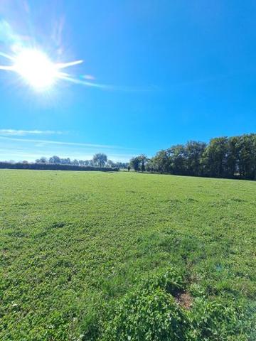 Terrain agricole à vendre à Naucelle dans l'Aveyron (12800), ref : 1009287 Aveyron