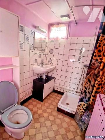 Vente Maison à L'Isle-sur-le-Doubs