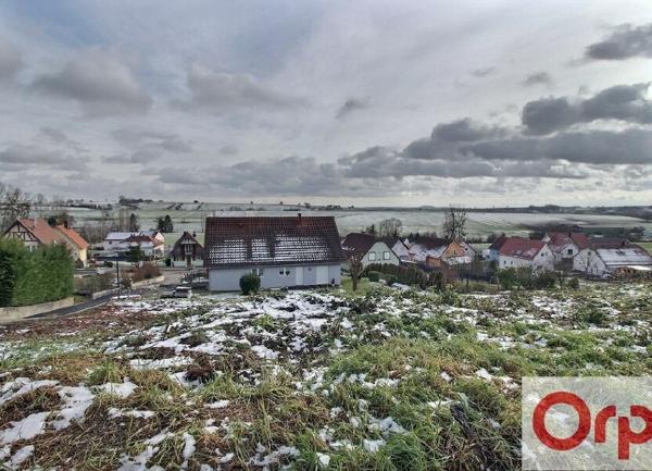 Terrain à vendre    Offwiller