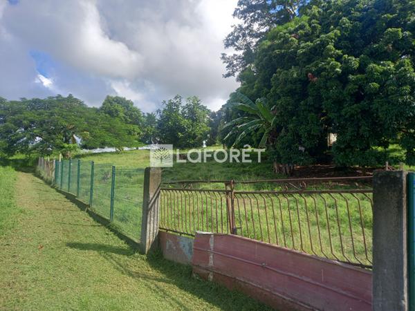 Achat terrain Ducos - 2497 m² - 260 000 €