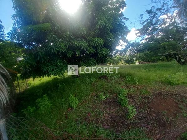 Achat terrain Ducos - 2497 m² - 260 000 €