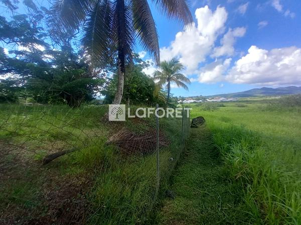 Achat terrain Ducos - 2497 m² - 260 000 €