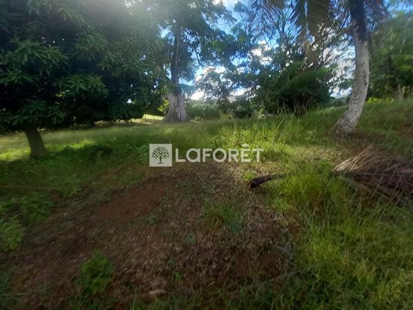 Achat terrain Ducos - 2497 m² - 260 000 €