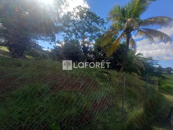 Achat terrain Ducos - 2497 m² - 260 000 €