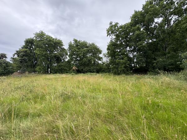 Lège-Cap-Ferret (33950) Terrain constructible 1233m²