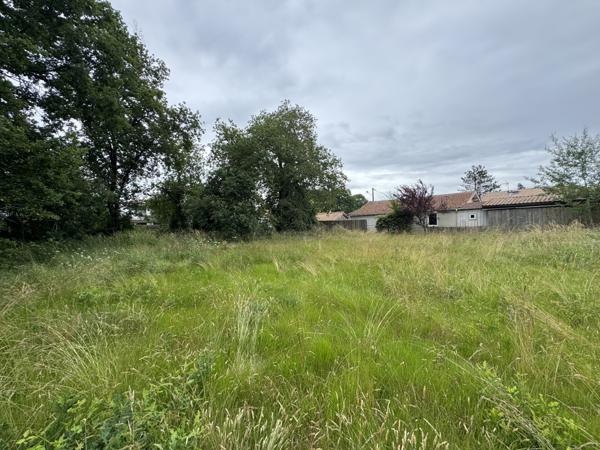 Lège-Cap-Ferret (33950) Terrain constructible 1233m²