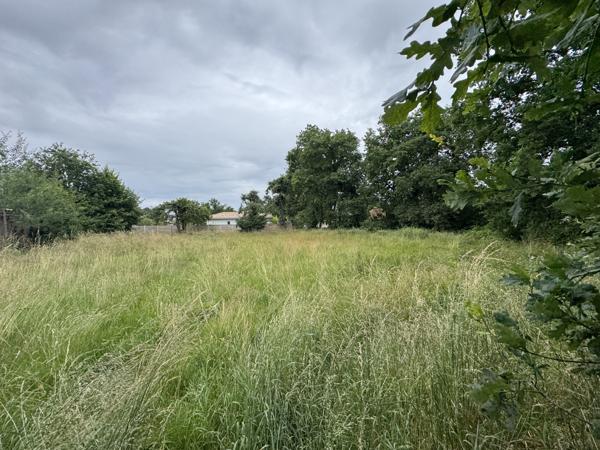 Lège-Cap-Ferret (33950) Terrain constructible 1233m²