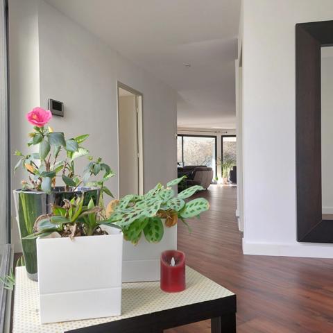 Dpt Tarn et Garonne (82), à vendre MONTAUBAN maison P7 de 216 m² - Terrain de 7 640,00 m² - Plain pied