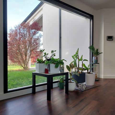 Dpt Tarn et Garonne (82), à vendre MONTAUBAN maison P7 de 216 m² - Terrain de 7 640,00 m² - Plain pied