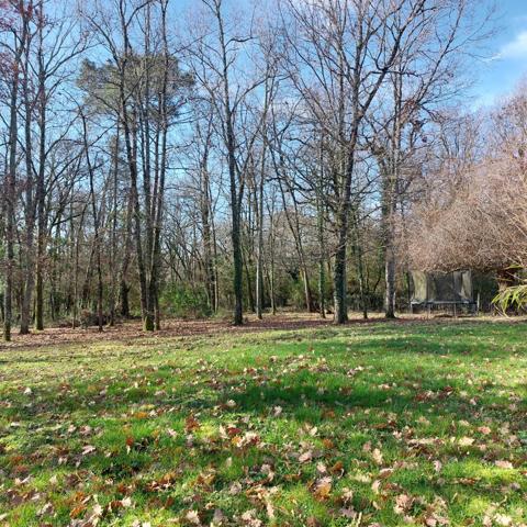 Dpt Tarn et Garonne (82), à vendre MONTAUBAN maison P7 de 216 m² - Terrain de 7 640,00 m² - Plain pied