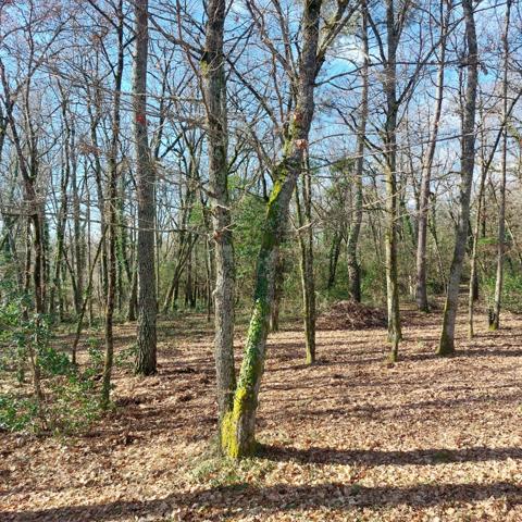 Dpt Tarn et Garonne (82), à vendre MONTAUBAN maison P7 de 216 m² - Terrain de 7 640,00 m² - Plain pied