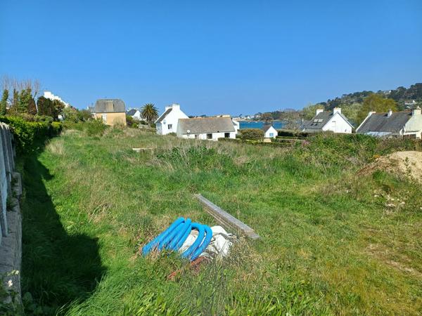 Plougasnou (29630) Plougasnou, le Diben, terrain constructible non viabilisé de 2000 m2.