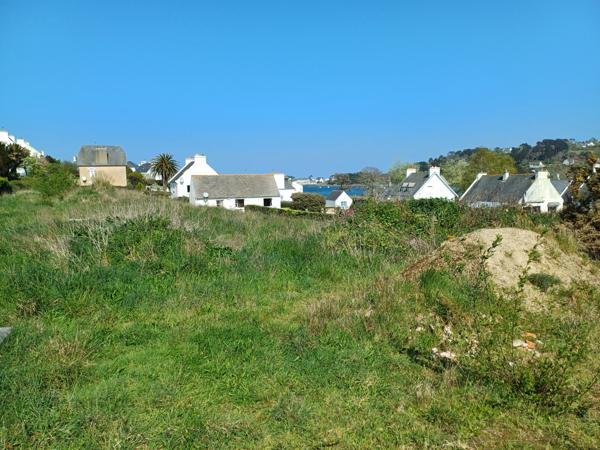 Plougasnou (29630) Plougasnou, le Diben, terrain constructible non viabilisé de 2000 m2.