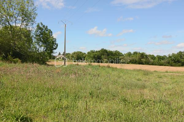 Terrain de 1 484 m²