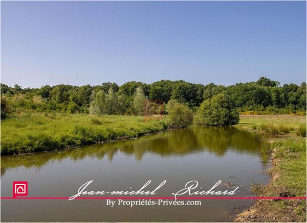 Terrain Le Controis En Sologne 101030 m2