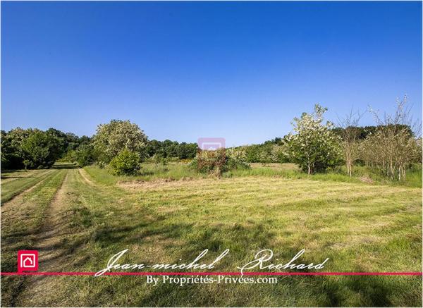 Terrain Le Controis En Sologne 101030 m2