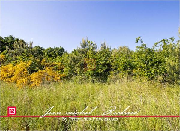 Terrain Le Controis En Sologne 101030 m2