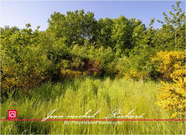 Terrain Le Controis En Sologne 101030 m2