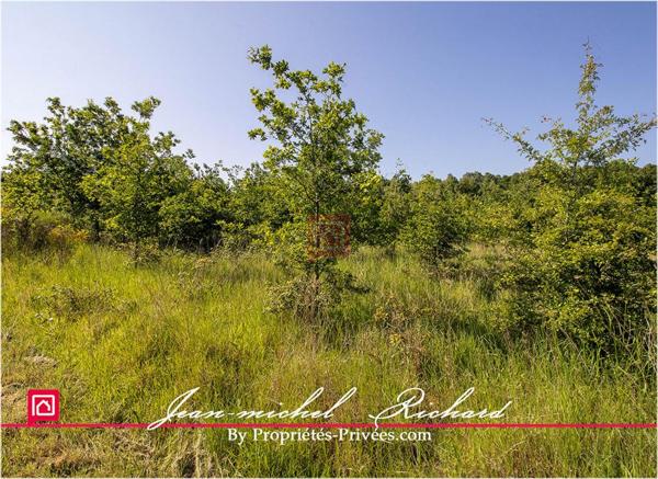 Terrain Le Controis En Sologne 101030 m2