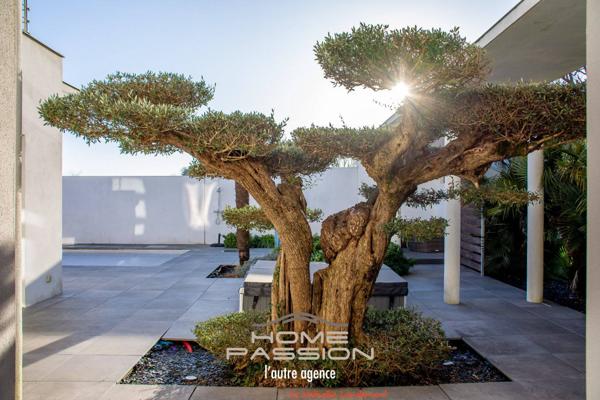 ST PALAIS/MER - VILLA AUX LIGNES CONTEMPORAINES