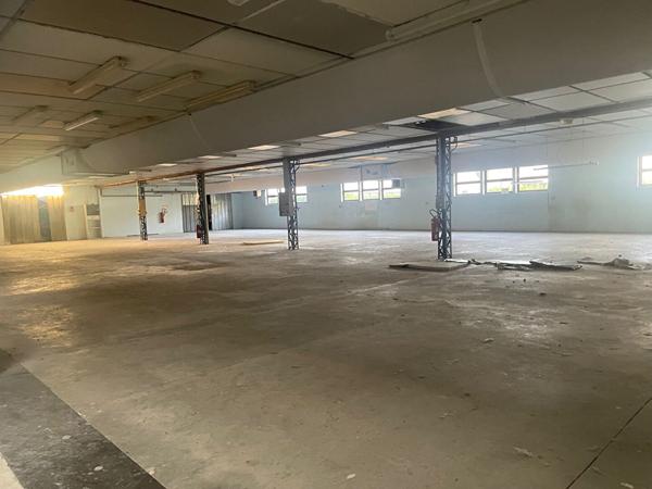 BATIMENTS INDUSTRIELS OU COMMERCIAUX A LOUER VILLEFRANCHE SUR CHER