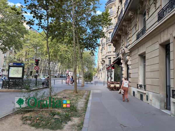 Appartement · Location Paris 15 (75015) 1 pièce · 15m²